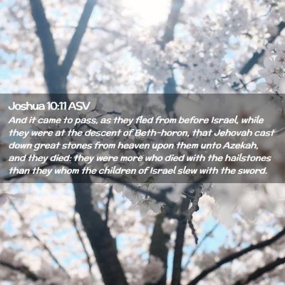 Picture 02 - Joshua 10:11 ASV - And it came to pass, as they fled from before - Bible Verse Picture