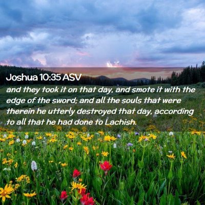 Picture 02 - Joshua 10:35 ASV - and they took it on that day, and smote it with - Bible Verse Picture