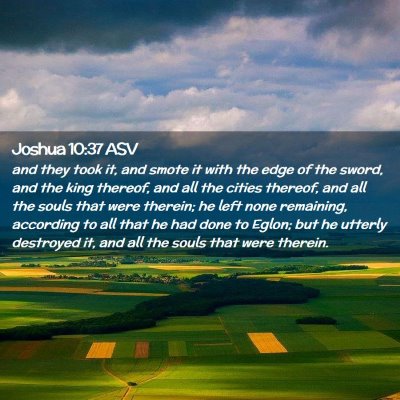 Picture 02 - Joshua 10:37 ASV - and they took it, and smote it with the edge of - Bible Verse Picture