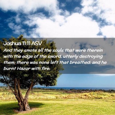Picture 02 - Joshua 11:11 ASV - And they smote all the souls that were therein - Bible Verse Picture