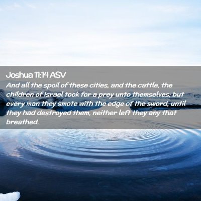 Picture 02 - Joshua 11:14 ASV - And all the spoil of these cities, and the - Bible Verse Picture