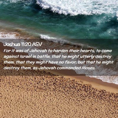 Picture 02 - Joshua 11:20 ASV - For it was of Jehovah to harden their hearts, to - Bible Verse Picture
