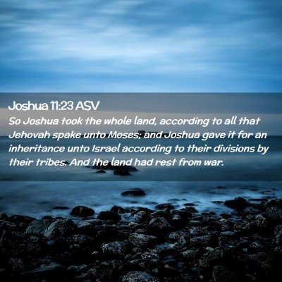 Picture 02 - Joshua 11:23 ASV - So Joshua took the whole land, according to all - Bible Verse Picture