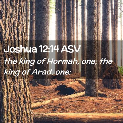 Picture 02 - Joshua 12:14 ASV - the king of Hormah, one; the king of Arad, - Bible Verse Picture