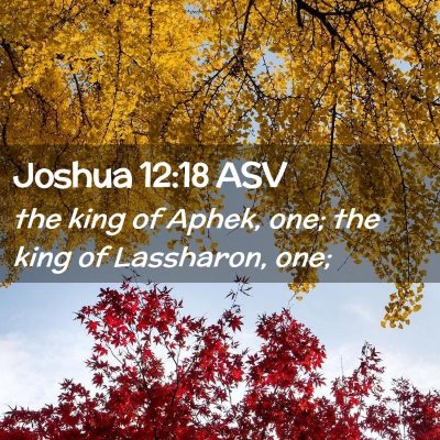 Picture 02 - Joshua 12:18 ASV - the king of Aphek, one; the king of Lassharon, - Bible Verse Picture
