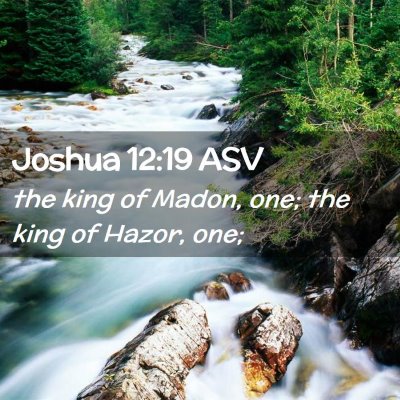 Picture 02 - Joshua 12:19 ASV - the king of Madon, one; the king of Hazor, - Bible Verse Picture