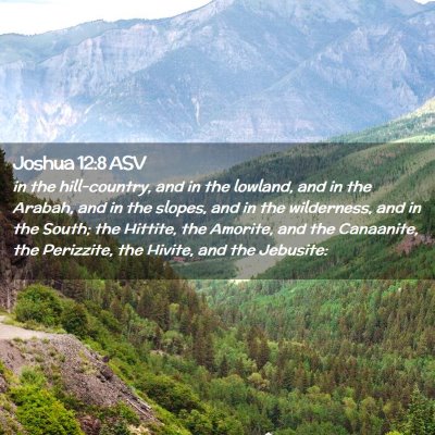 Picture 02 - Joshua 12:8 ASV - in the hill-country, and in the lowland, and in - Bible Verse Picture