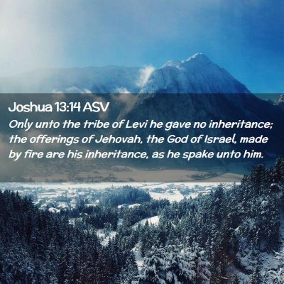 Picture 02 - Joshua 13:14 ASV - Only unto the tribe of Levi he gave no - Bible Verse Picture