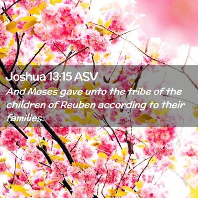 Picture 02 - Joshua 13:15 ASV - And Moses gave unto the tribe of the children of - Bible Verse Picture