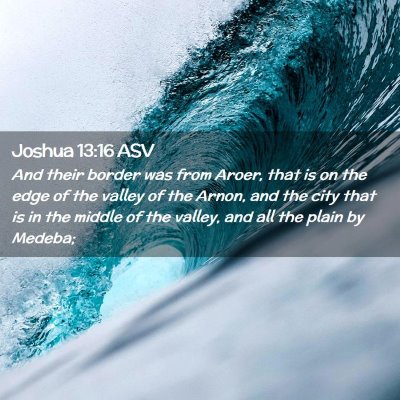 Picture 02 - Joshua 13:16 ASV - And their border was from Aroer, that is on the - Bible Verse Picture