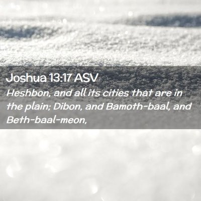 Picture 02 - Joshua 13:17 ASV - Heshbon, and all its cities that are in the - Bible Verse Picture