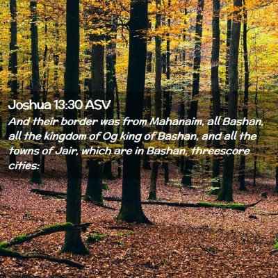 Picture 02 - Joshua 13:30 ASV - And their border was from Mahanaim, all Bashan, - Bible Verse Picture