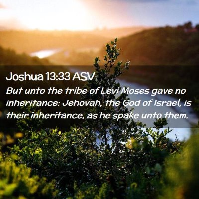 Picture 02 - Joshua 13:33 ASV - But unto the tribe of Levi Moses gave no - Bible Verse Picture