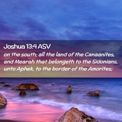Picture 02 - Joshua 13:4 ASV - on the south; all the land of the Canaanites, and - Bible Verse Picture