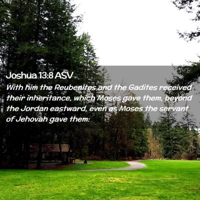 Picture 02 - Joshua 13:8 ASV - With him the Reubenites and the Gadites received - Bible Verse Picture