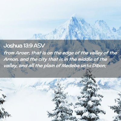 Picture 02 - Joshua 13:9 ASV - from Aroer, that is on the edge of the valley of - Bible Verse Picture