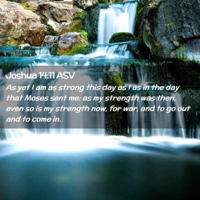 Picture 02 - Joshua 14:11 ASV - As yet I am as strong this day as I as in the day - Bible Verse Picture