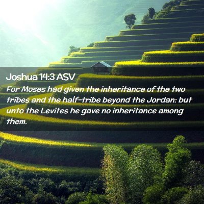 Picture 02 - Joshua 14:3 ASV - For Moses had given the inheritance of the two - Bible Verse Picture