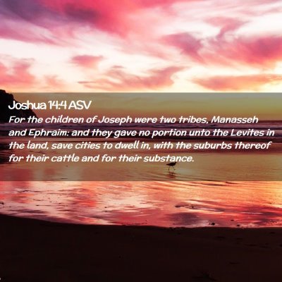 Picture 02 - Joshua 14:4 ASV - For the children of Joseph were two tribes, - Bible Verse Picture
