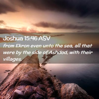 Picture 02 - Joshua 15:46 ASV - from Ekron even unto the sea, all that were by - Bible Verse Picture