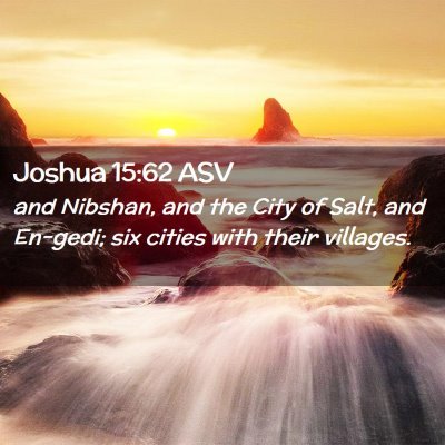 Picture 02 - Joshua 15:62 ASV - and Nibshan, and the City of Salt, and En-gedi; - Bible Verse Picture