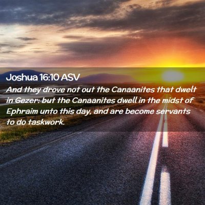 Picture 02 - Joshua 16:10 ASV - And they drove not out the Canaanites that dwelt - Bible Verse Picture