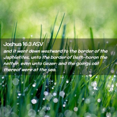 Picture 02 - Joshua 16:3 ASV - and it went down westward to the border of the - Bible Verse Picture