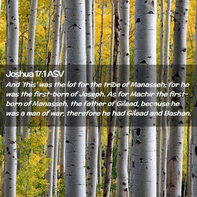 Picture 02 - Joshua 17:1 ASV - And `this' was the lot for the tribe of Manasseh; - Bible Verse Picture
