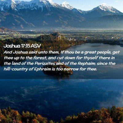 Picture 02 - Joshua 17:15 ASV - And Joshua said unto them, If thou be a great - Bible Verse Picture
