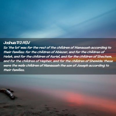 Picture 02 - Joshua 17:2 ASV - So `the lot' was for the rest of the children of - Bible Verse Picture