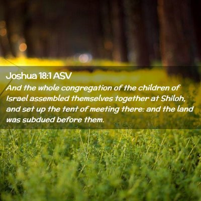 Picture 02 - Joshua 18:1 ASV - And the whole congregation of the children of - Bible Verse Picture