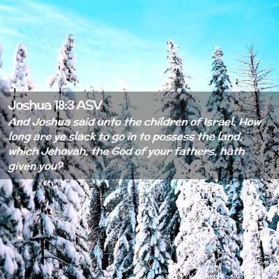 Picture 02 - Joshua 18:3 ASV - And Joshua said unto the children of Israel, How - Bible Verse Picture