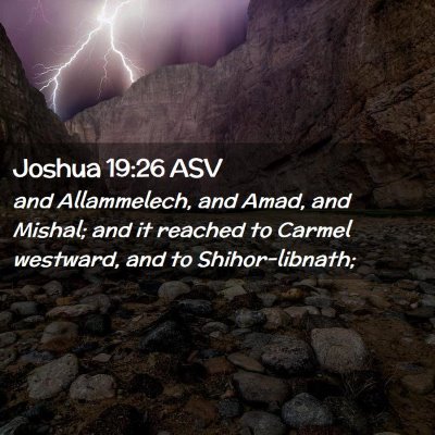 Picture 02 - Joshua 19:26 ASV - and Allammelech, and Amad, and Mishal; and it - Bible Verse Picture