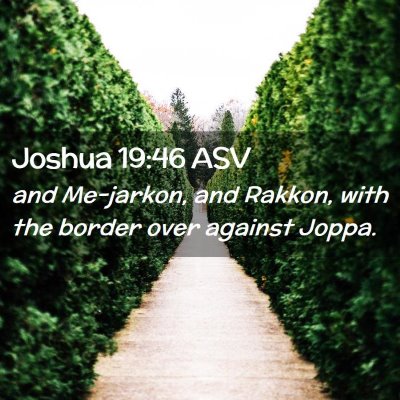 Picture 02 - Joshua 19:46 ASV - and Me-jarkon, and Rakkon, with the border over - Bible Verse Picture