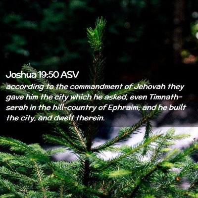 Picture 02 - Joshua 19:50 ASV - according to the commandment of Jehovah they gave - Bible Verse Picture
