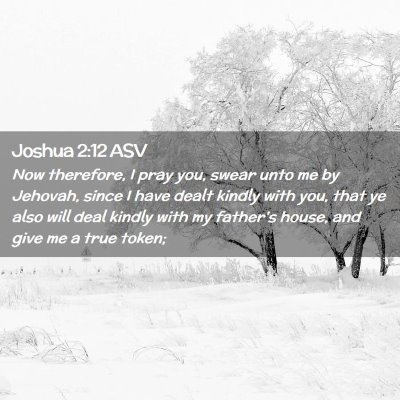 Picture 02 - Joshua 2:12 ASV - Now therefore, I pray you, swear unto me by - Bible Verse Picture