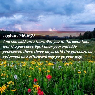 Picture 02 - Joshua 2:16 ASV - And she said unto them, Get you to the mountain, - Bible Verse Picture