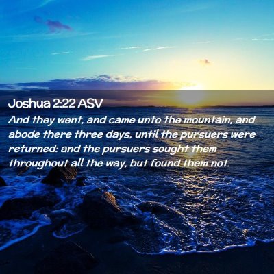 Picture 02 - Joshua 2:22 ASV - And they went, and came unto the mountain, and - Bible Verse Picture