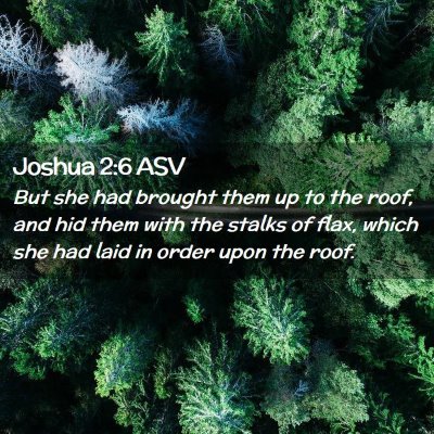 Picture 02 - Joshua 2:6 ASV - But she had brought them up to the roof, and hid - Bible Verse Picture
