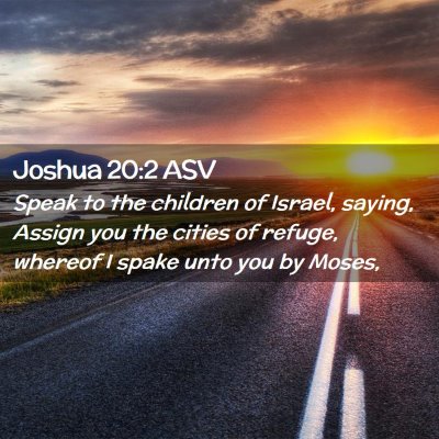 Picture 02 - Joshua 20:2 ASV - Speak to the children of Israel, saying, Assign - Bible Verse Picture