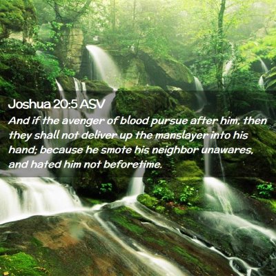 Picture 02 - Joshua 20:5 ASV - And if the avenger of blood pursue after him, - Bible Verse Picture