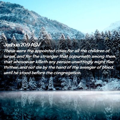 Picture 02 - Joshua 20:9 ASV - These were the appointed cities for all the - Bible Verse Picture