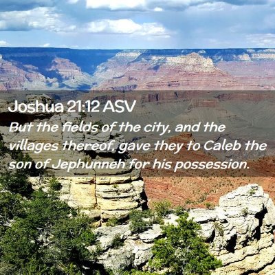 Picture 02 - Joshua 21:12 ASV - But the fields of the city, and the villages - Bible Verse Picture