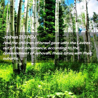 Picture 02 - Joshua 21:3 ASV - And the children of Israel gave unto the Levites - Bible Verse Picture