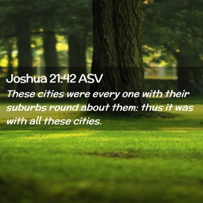 Picture 02 - Joshua 21:42 ASV - These cities were every one with their suburbs - Bible Verse Picture