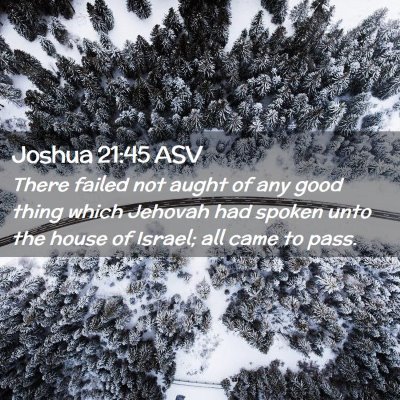 Picture 02 - Joshua 21:45 ASV - There failed not aught of any good thing which - Bible Verse Picture