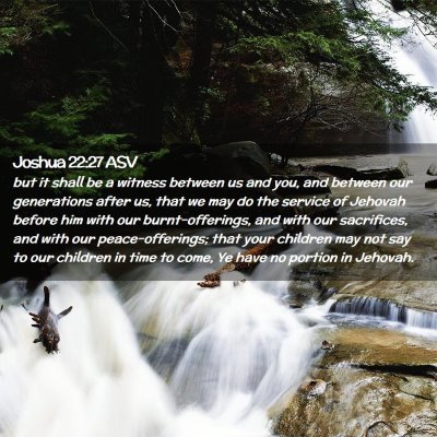 Picture 02 - Joshua 22:27 ASV - but it shall be a witness between us and you, and - Bible Verse Picture