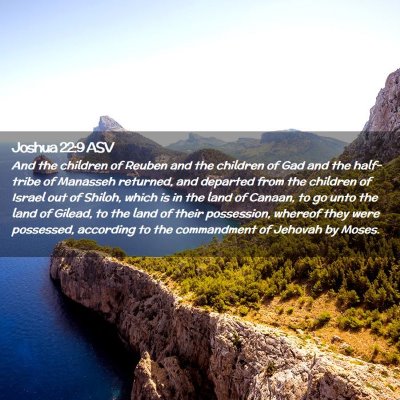 Picture 02 - Joshua 22:9 ASV - And the children of Reuben and the children of - Bible Verse Picture