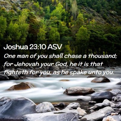 Picture 02 - Joshua 23:10 ASV - One man of you shall chase a thousand; for - Bible Verse Picture
