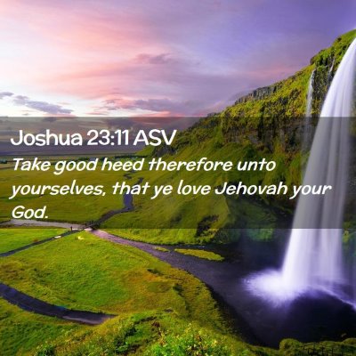 Picture 02 - Joshua 23:11 ASV - Take good heed therefore unto yourselves, that ye - Bible Verse Picture
